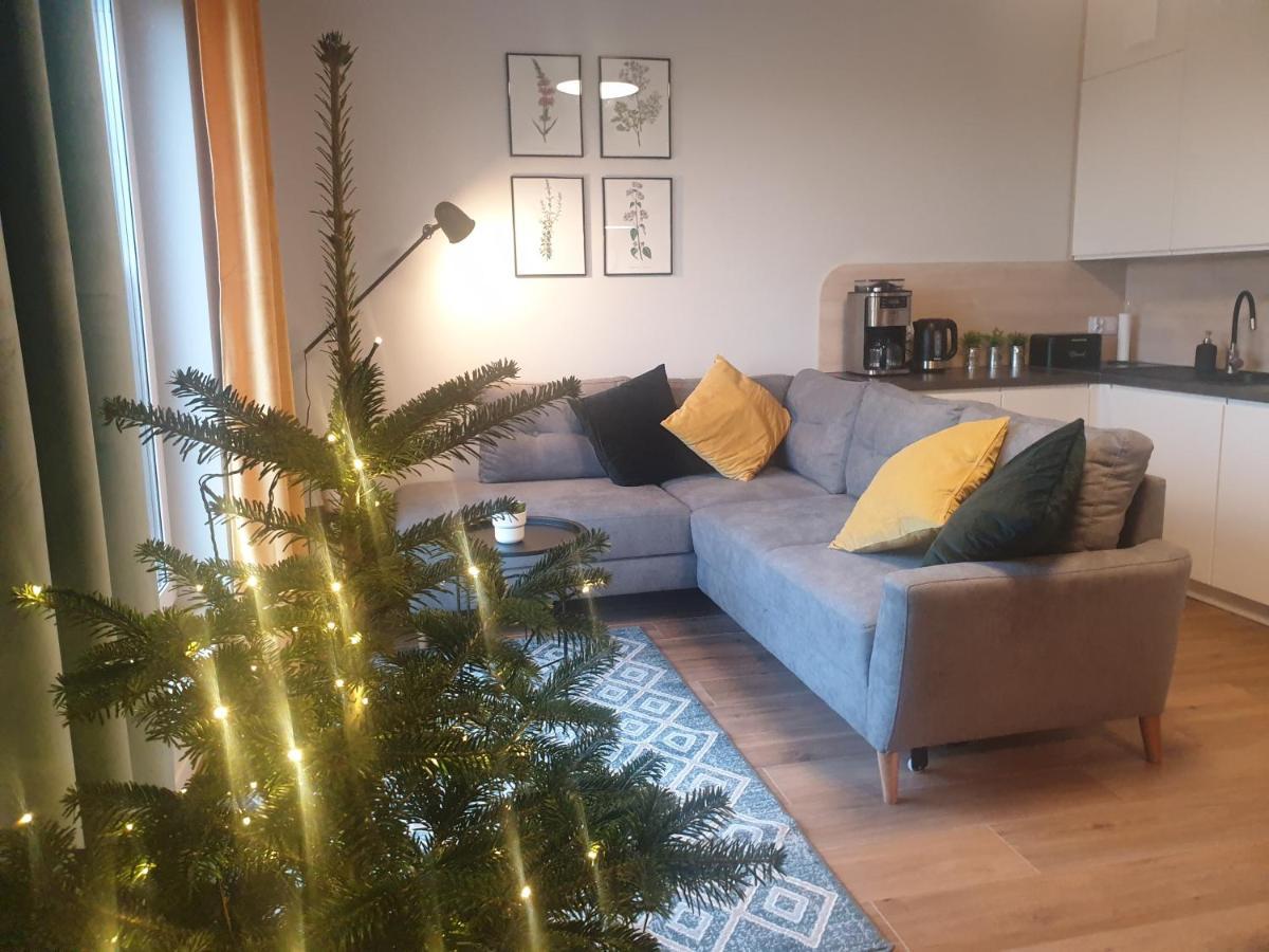 Apartament Pod Stogiem Izerskim - 5D Apartamenty Świeradów-Zdrój Kültér fotó